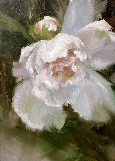 Peony, original 2026 floral oil painting on wood panel by Laura L. Krusemark