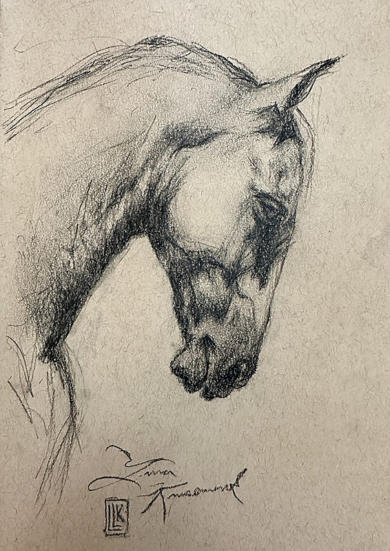 Horse study, Horse head sketch, graphite drawing on textured paper, 2026 charcoal painting on paper by Laura L. Krusemark
