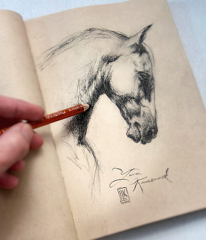 view revealing scale