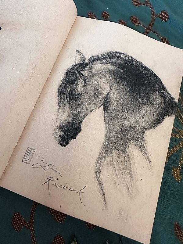 Fire Horse 2026, horse head sketch, graphite drawing, expressive equine study, 2026 charcoal painting on paper by Laura L. Krusemark