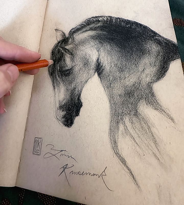 view revealing scale