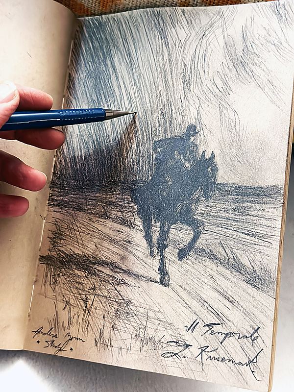 view revealing scale