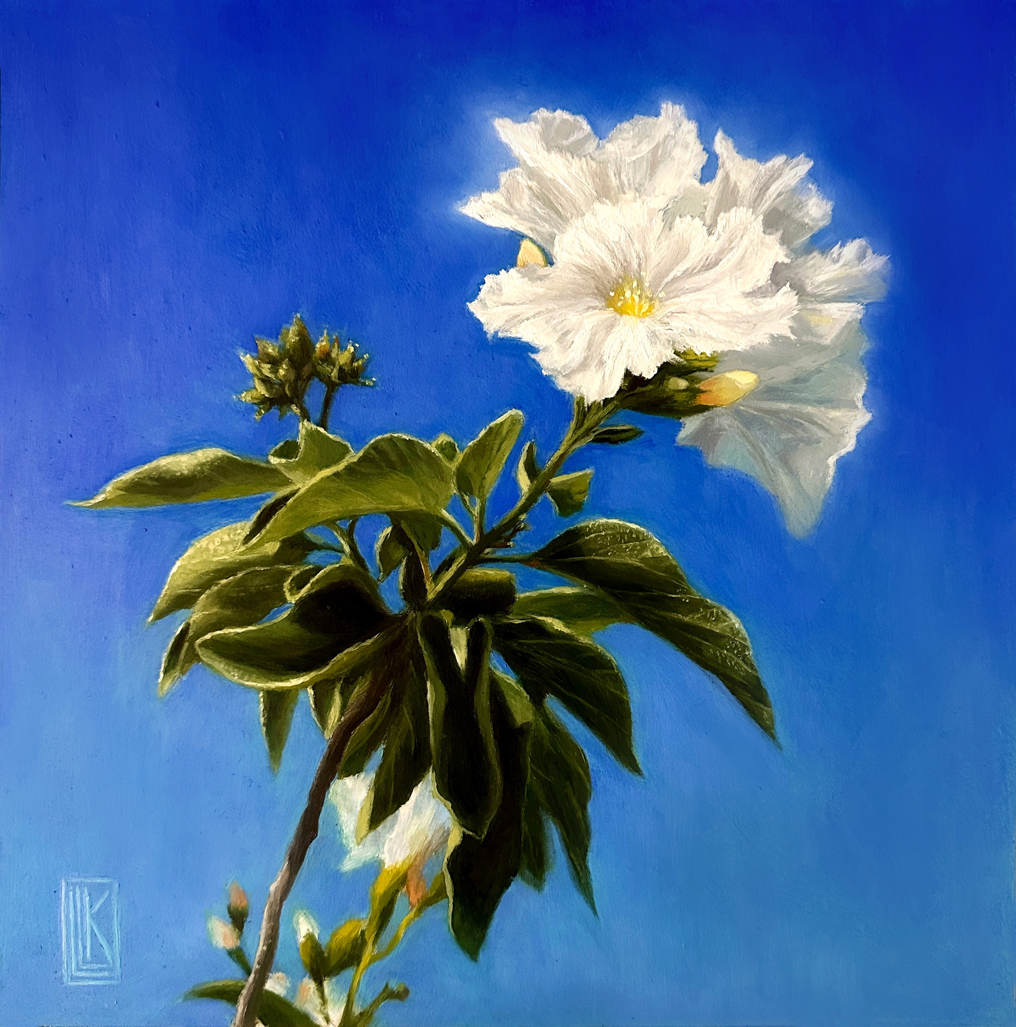 Do You Dream in White and Blue, original 2025 floral oil painting on wood panel by Laura L. Krusemark