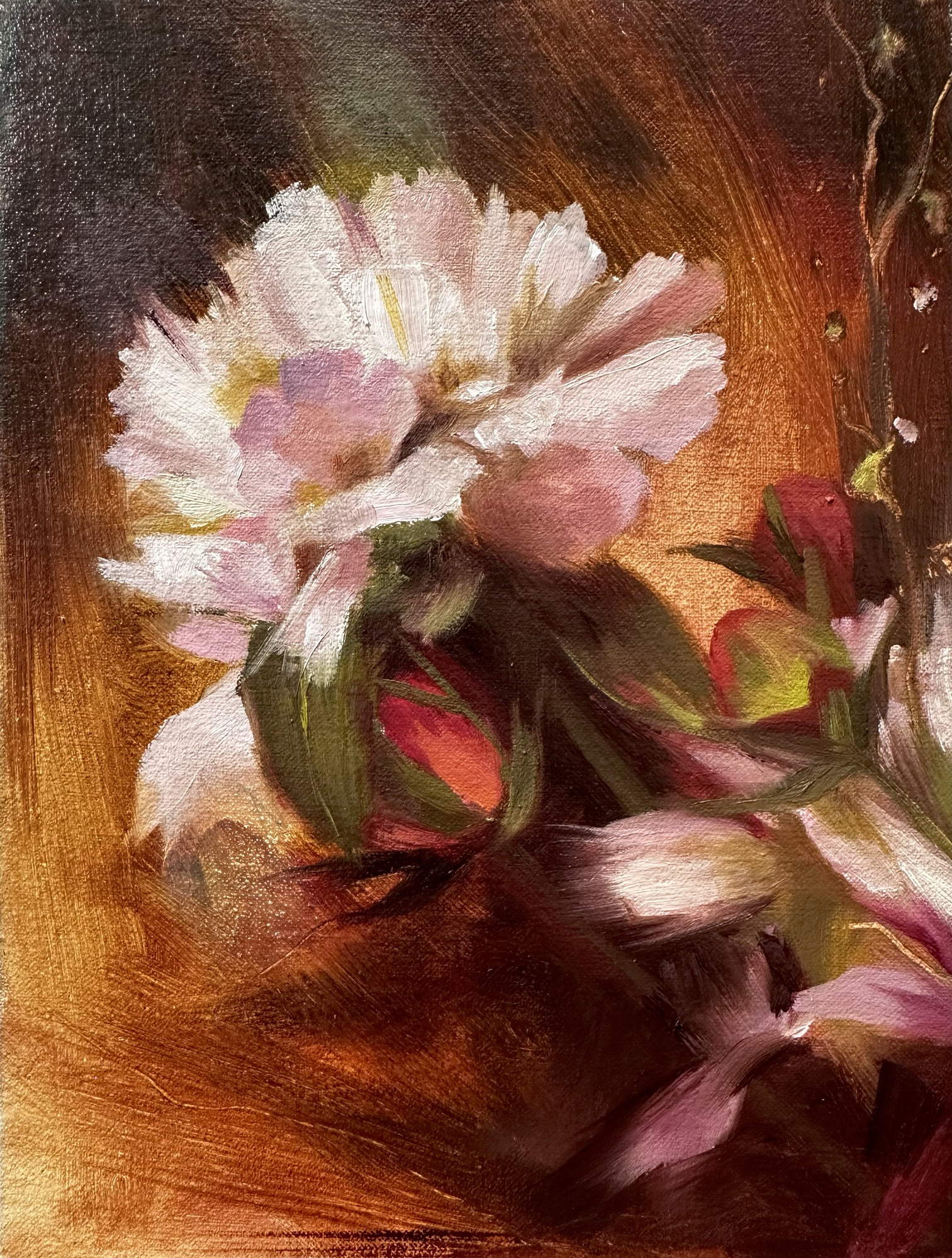 Peony + Roses, original 2026 floral oil painting on linen by Laura L. Krusemark