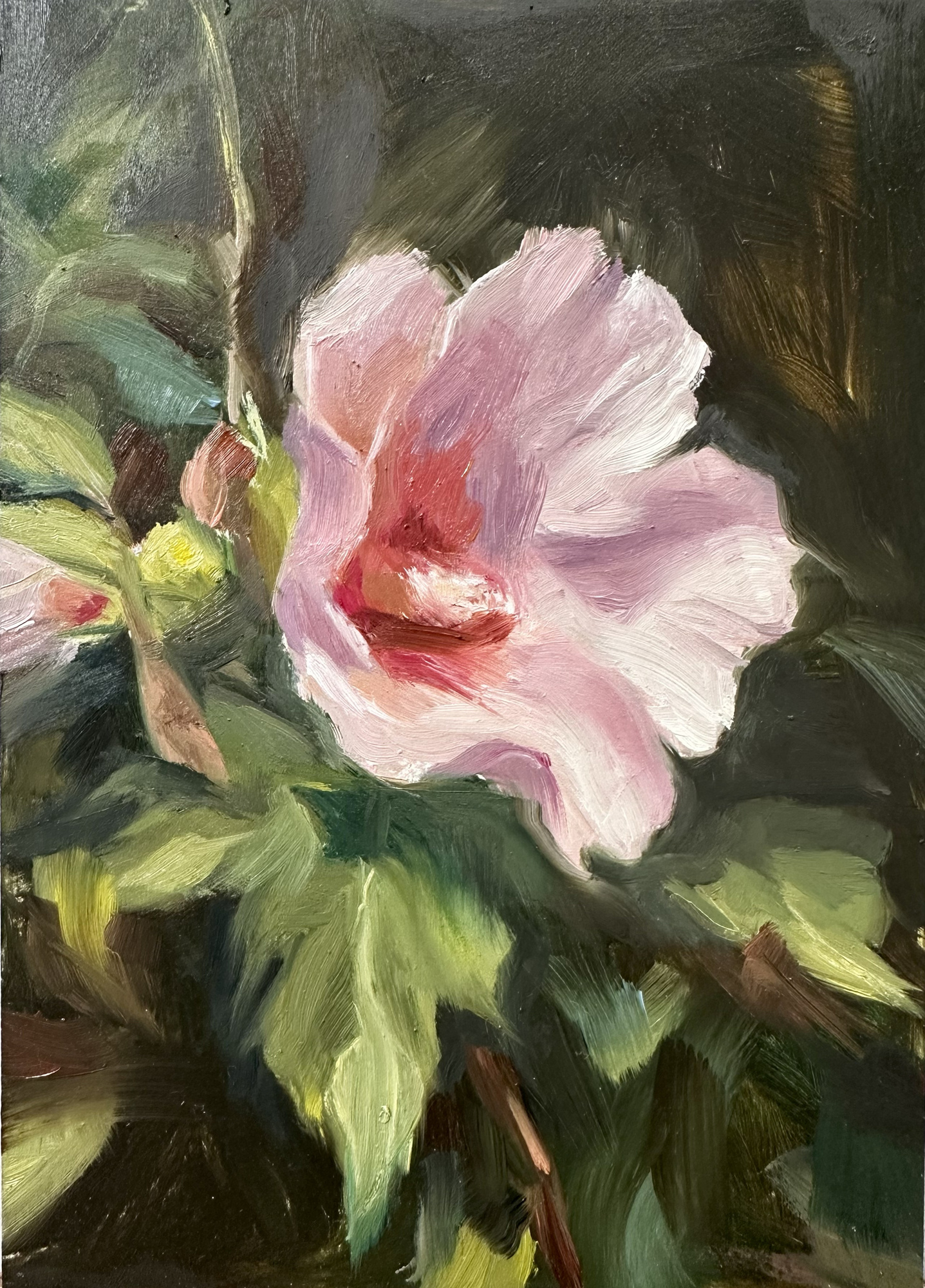 Rose of Sharon, original 2026 floral oil painting on wood panel by Laura L. Krusemark