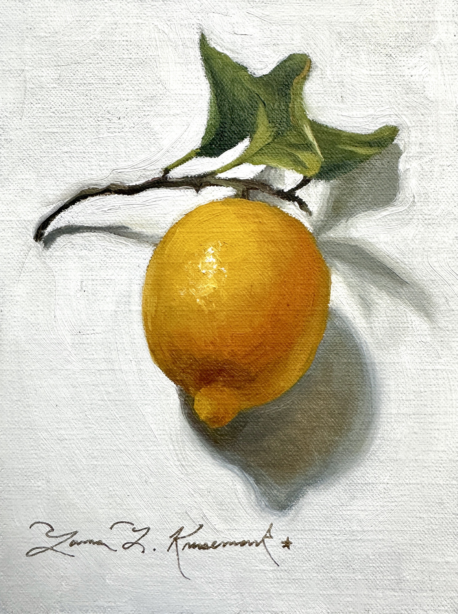 Lemon Study 3, original 2026 still life oil painting on canvas by Laura L. Krusemark