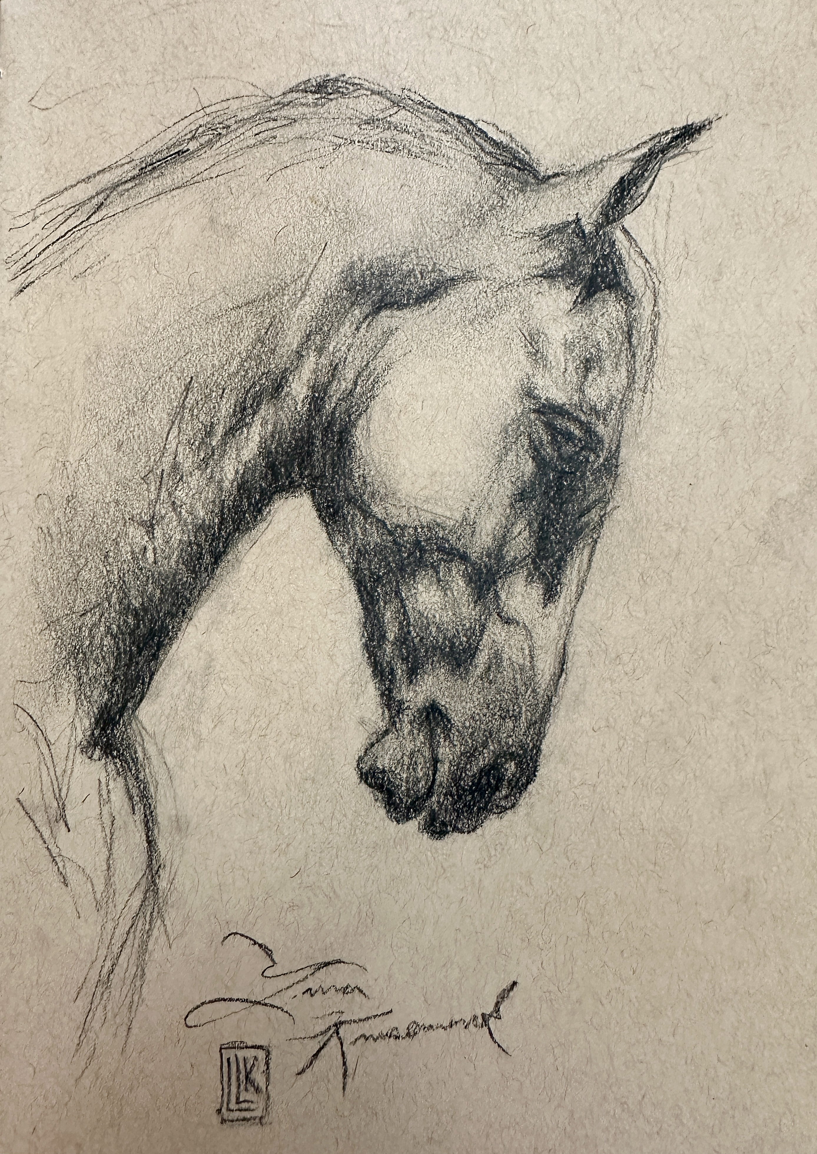 Horse study, Horse head sketch, graphite drawing on textured paper, 2026 charcoal painting on paper by Laura L. Krusemark